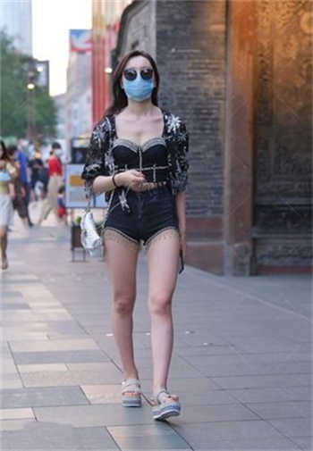 红楼之贾家进士