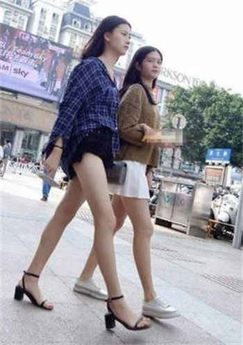 房东房租2衣服都融化了
