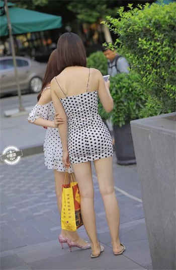 xkdsp小蝌蚪官方大象
