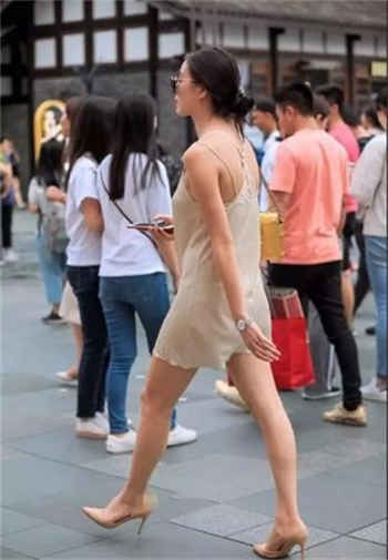 风华神女录神鸟1-138