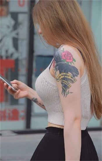 视频会员账号共享平台