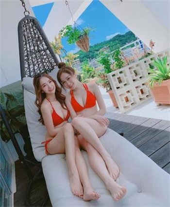 兔子大佬尾巴藏好6000
