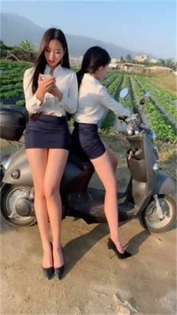 苹果黄台app免费入口