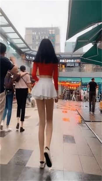 心悦君兮君不知公子凉夜