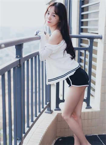 上海昌硕厂鸡多少钱