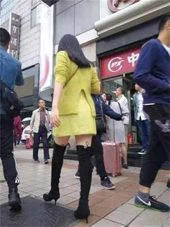 冈本app下栽